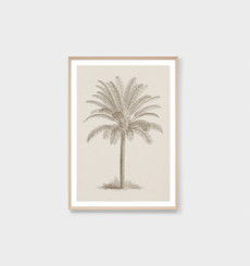 Vintage Tropical Palm Neutral Print