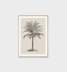 Vintage Tropical Palm Umber Print