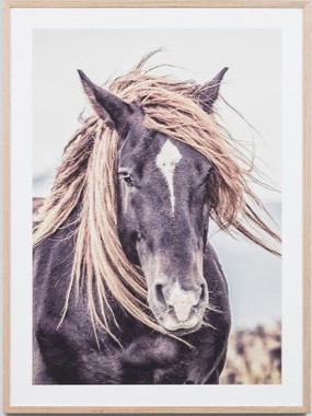 LONE MUSTANG FRAMED PRINT

Proudly designed and made in Australia with love. 

Please allow 1-3 weeks manufacturing time, as this product is made to order.

Materials : framed print behind glass

Dimensions : 85CM x 115CM