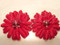 Red Gerbera Daisy Wedding Shoe Clips Pearl Swarovski Bridal Jewelry