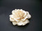 Couture Wedding Hair Flower Clip Champagne Satin Rose Rochelle Pin Up