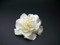Ivory Magnolia Small Bridal Wedding Hair Accessory Flower Veil Clip