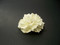 Ivory Small Gardenia Bridal Hair Flower Clip Wedding Veil Accessory