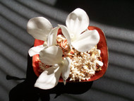 Off White "Steel Magnolias" Silk Flower Couture Bridal Hair Pins Pearl