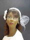 White Camellia Wedding Birdcage Veil Headband Bridal Hair Accessory