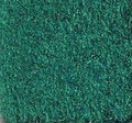 AQUA TURF AQUA