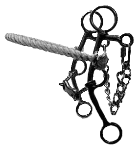 Bit Maturity Gag with Twisted Dog bone Mouthpiece