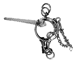 Ring Bit Combination