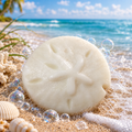 Sand Dollar