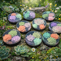 Succulent Garden