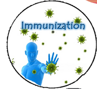 Immunizaton Disc PLUS