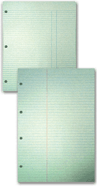 11"  Litigation Sheets