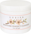 Moisture Perfect Cleanser