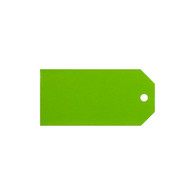 Citrus Green Gift Tags - 2'' x 4''     100/box