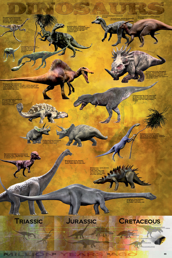 Dinosaur Poster - Chart - NerdKungFu