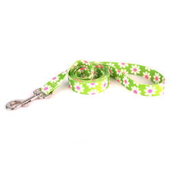 Green Daisy Dog Leash Green Daisy Dog Leash