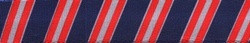 Team Spirit Navy, Red and Gray Coupler Dog Leash Team Spirit Navy, Red and Gray Coupler Dog Leash