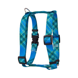 Blue Kilt Roman Style "H" Dog Harness Blue Kilt Roman Style "H" Dog Harness