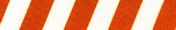 Team Spirit Rust and White EZ-Grip Dog Leash Team Spirit Rust and White EZ-Grip Dog Leash