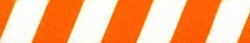 Team Spirit Orange and White EZ-Grip Dog Leash Team Spirit Orange and White EZ-Grip Dog Leash