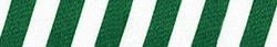 Team Spirit Green and White EZ-Grip Dog Leash Team Spirit Green and White EZ-Grip Dog Leash