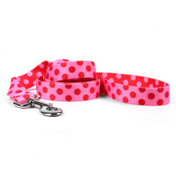 Valentine Polka Dot Dog Leash Valentine Polka Dot Dog Leash