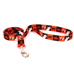 Pumpkin Patch Dog Leash Pumpkin Patch Dog Leash