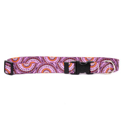 Radiance Purple Dog Collar Radiance Purple Dog Collar