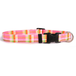 Madras Pink Dog Collar Madras Pink Dog Collar