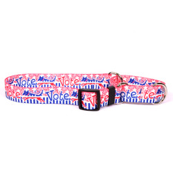 Voter Dog Martingale Dog Collar Voter Dog Martingale Dog Collar