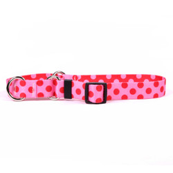 Valentine Polka Dot Martingale Dog Collar Valentine Polka Dot Martingale Dog Collar