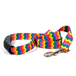 Rainbow Chevron EZ-Grip Dog Leash Rainbow Chevron EZ-Grip Dog Leash