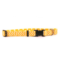 Lemon Chevron on Polka Grosgrain Ribbon Collar Lemon Chevron on Polka Grosgrain Ribbon Collar