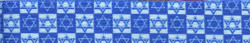Hanukkah Stars Waist Walker Hanukkah Stars Waist Walker