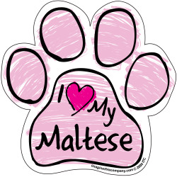 I Love My Maltese PINK Scribble Paw Magnet I Love My Maltese PINK Scribble Paw Magnet