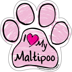 I Love My Maltipoo PINK Scribble Paw Magnet I Love My Maltipoo PINK Scribble Paw Magnet