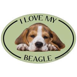 I Love My Beagle Colorful Oval Magnet I Love My Beagle Colorful Oval Magnet