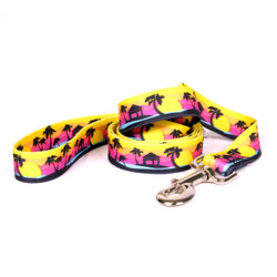 Palm Tree Island Dog Leash Palm Tree Island Dog Leash