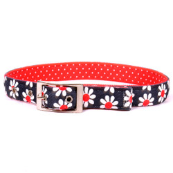 Black Daisy Uptown Dog Collar Black Daisy Uptown Dog Collar