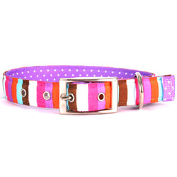 Multi-Stripe Uptown Dog Collar Multi-Stripe Uptown Dog Collar