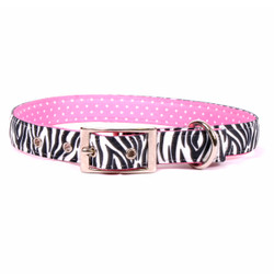 Zebra Black Uptown Dog Collar Zebra Black Uptown Dog Collar