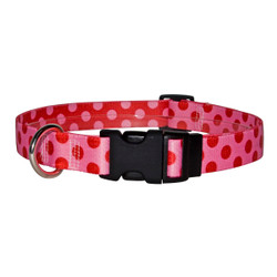 Valentine Polka Dot Break Away Cat Collar Valentine Polka Dot Break Away Cat Collar