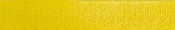 Solid Yellow Break Away Cat Collar Solid Yellow Break Away Cat Collar