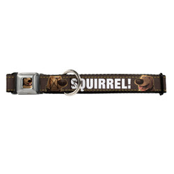 Dug Tongue Out Squirrel! Buckle-Down Seat Belt Buckle Dog Collar Dug Tongue Out Squirrel! Buckle-Down Seat Belt Buckle Dog Collar
