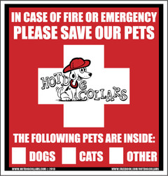 Rescue Our Pets Emergency Window Display Rescue Our Pets Emergency Window Display
