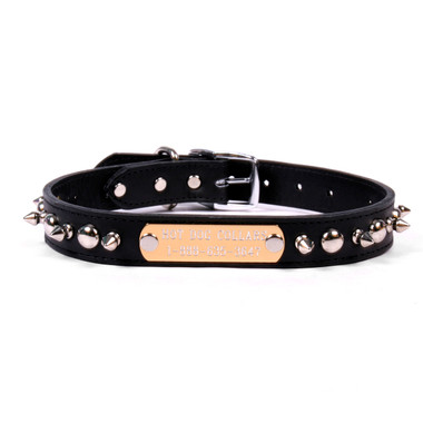 leather collars with name plate spiked collar with personalized name plate collars leather collars with name plate spiked collar with personalized name plate collars