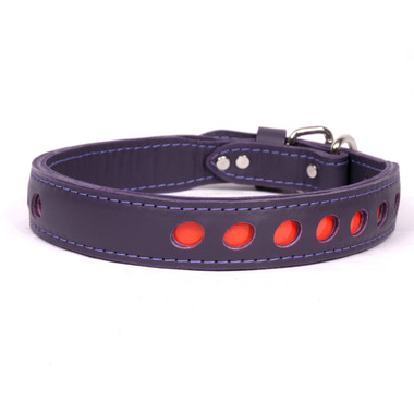 collars with name plate reflective leather collars with name plate collars collars with name plate reflective leather collars with name plate collars