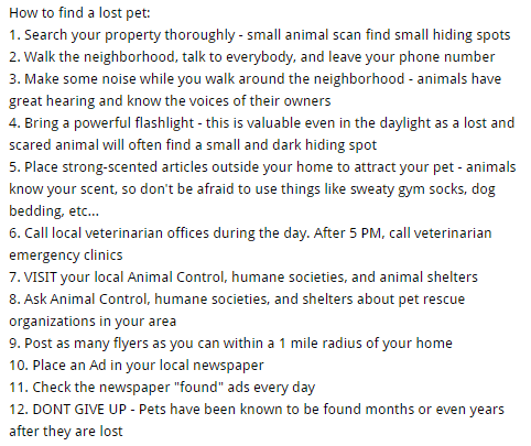 help i lost my dog how to find a lost pet