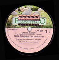 TOWN AND COUNTRY BROTHERS  -   Sandy, Sandy/ Let him go (49760/7s)