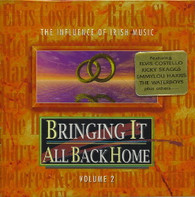 VARIOUS - BRINGING IT ALL BACK HOME VOL.2    (ACD1566/CD)